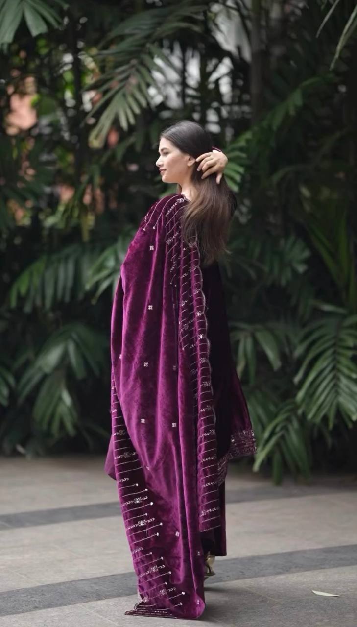 "Elegant Embroidered Viscose Velvet Ensemble"